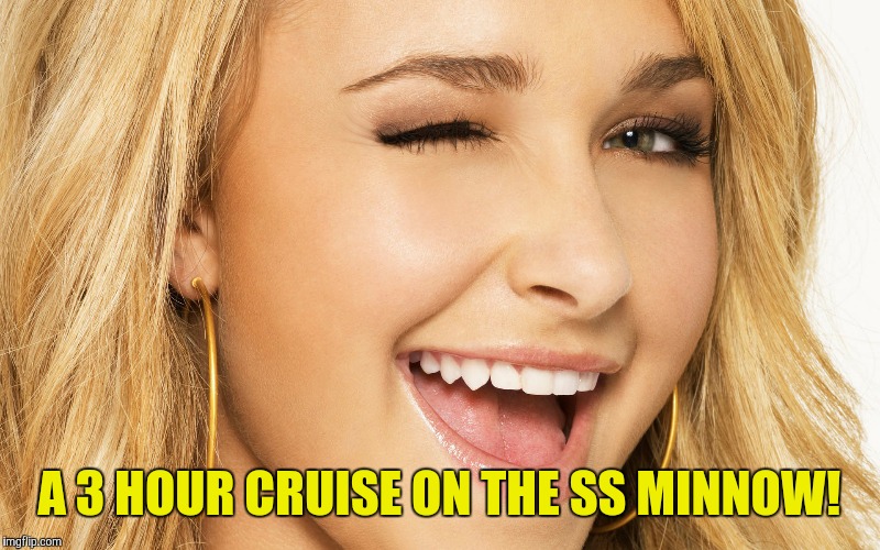 A 3 HOUR CRUISE ON THE SS MINNOW! | made w/ Imgflip meme maker