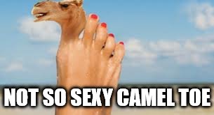 NOT SO SEXY CAMEL TOE | made w/ Imgflip meme maker