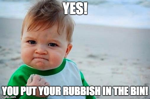 Victory Baby | YES! YOU PUT YOUR RUBBISH IN THE BIN! | image tagged in victory baby | made w/ Imgflip meme maker
