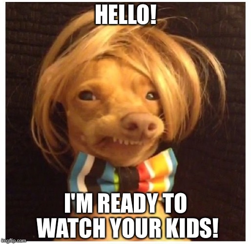 Tuna the Dog | HELLO! I'M READY TO WATCH YOUR KIDS! | image tagged in tuna the dog | made w/ Imgflip meme maker