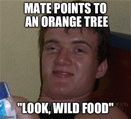 10 Guy Meme | MATE POINTS TO AN ORANGE TREE; "LOOK, WILD FOOD" | image tagged in memes,10 guy | made w/ Imgflip meme maker