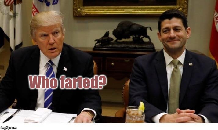 He who smelt it..... | Who farted? | image tagged in funny,memes,donald trump,farts | made w/ Imgflip meme maker
