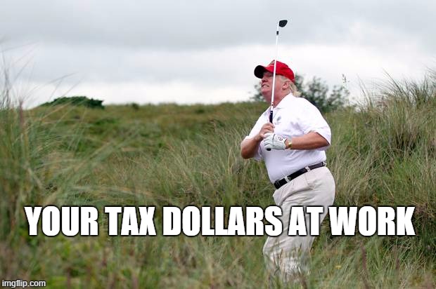 Trump at work | YOUR TAX DOLLARS AT WORK | image tagged in trump,golf,tax dollars,lard butt,loser,flubber gut | made w/ Imgflip meme maker