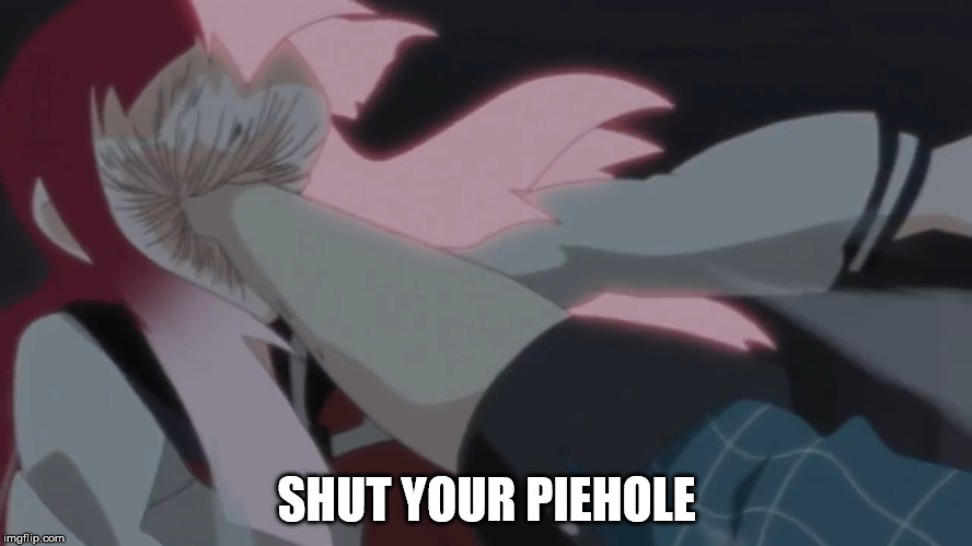 shut your piehole | SHUT YOUR PIEHOLE | image tagged in face punch,memes | made w/ Imgflip meme maker