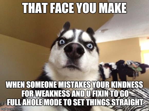 THAT FACE YOU MAKE; WHEN SOMEONE MISTAKES YOUR KINDNESS FOR WEAKNESS AND U FIXIN TO GO FULL AHOLE MODE TO SET THINGS STRAIGHT | image tagged in pissed off | made w/ Imgflip meme maker