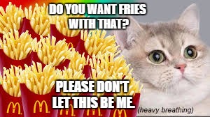 Cat fries |  DO YOU WANT FRIES WITH THAT? PLEASE DON'T LET THIS BE ME. | image tagged in cat,fries,no job | made w/ Imgflip meme maker