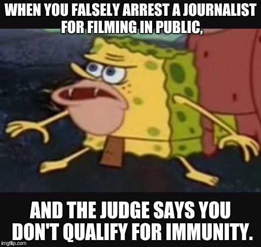 Caveman spongebob  | WHEN YOU FALSELY ARREST A JOURNALIST FOR FILMING IN PUBLIC, AND THE JUDGE SAYS YOU DON'T QUALIFY FOR IMMUNITY. | image tagged in caveman spongebob | made w/ Imgflip meme maker