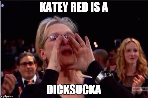 meryl streep | KATEY RED IS A; DICKSUCKA | image tagged in meryl streep | made w/ Imgflip meme maker