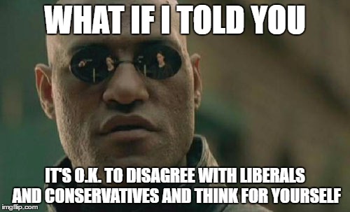 Matrix Morpheus Meme | WHAT IF I TOLD YOU; IT'S O.K. TO DISAGREE WITH LIBERALS AND CONSERVATIVES AND THINK FOR YOURSELF | image tagged in memes,matrix morpheus | made w/ Imgflip meme maker