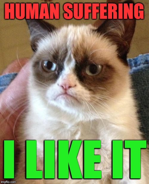 Grumpy Cat Meme | HUMAN SUFFERING I LIKE IT | image tagged in memes,grumpy cat | made w/ Imgflip meme maker