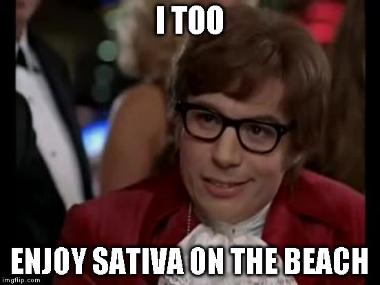 I TOO ENJOY SATIVA ON THE BEACH | made w/ Imgflip meme maker