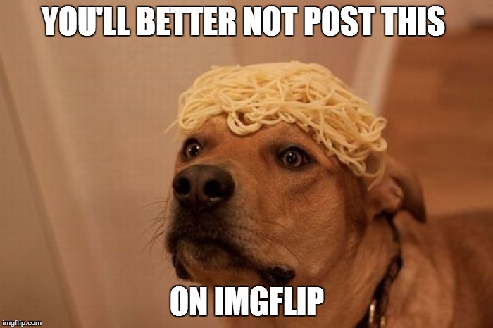 I can haz my scooby snack yet? | YOU'LL BETTER NOT POST THIS; ON IMGFLIP | image tagged in memes,pasta,dog | made w/ Imgflip meme maker