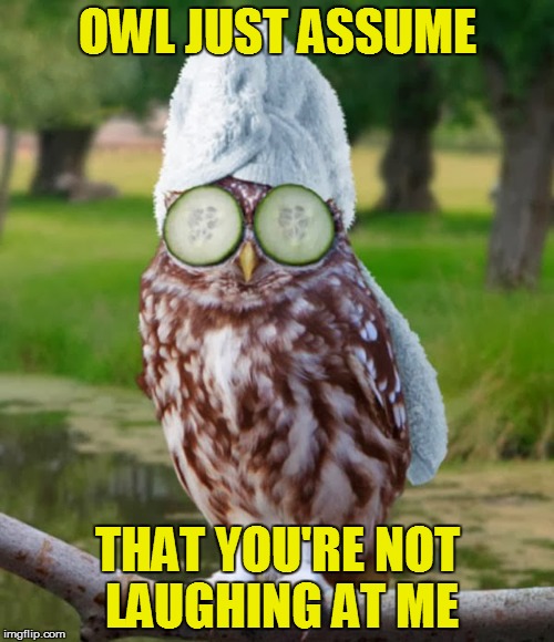 I don't see what you did there.. | OWL JUST ASSUME; THAT YOU'RE NOT LAUGHING AT ME | image tagged in memes,owl | made w/ Imgflip meme maker