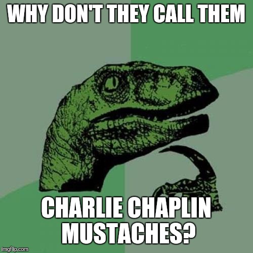 Philosoraptor Meme | WHY DON'T THEY CALL THEM; CHARLIE CHAPLIN MUSTACHES? | image tagged in memes,philosoraptor | made w/ Imgflip meme maker