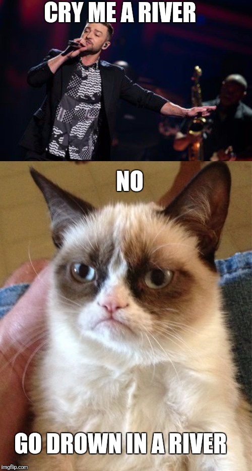 CRY ME A RIVER; NO; GO DROWN IN A RIVER | image tagged in funny,memes,grumpy cat,cry me a river,justin timberlake | made w/ Imgflip meme maker