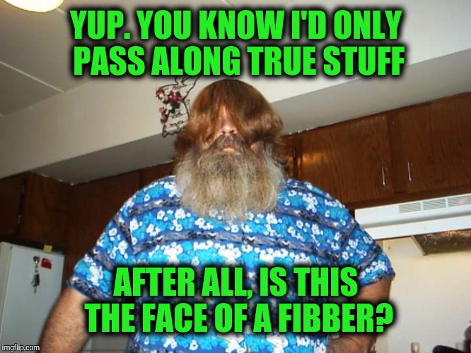 YUP. YOU KNOW I'D ONLY PASS ALONG TRUE STUFF AFTER ALL, IS THIS THE FACE OF A FIBBER? | made w/ Imgflip meme maker