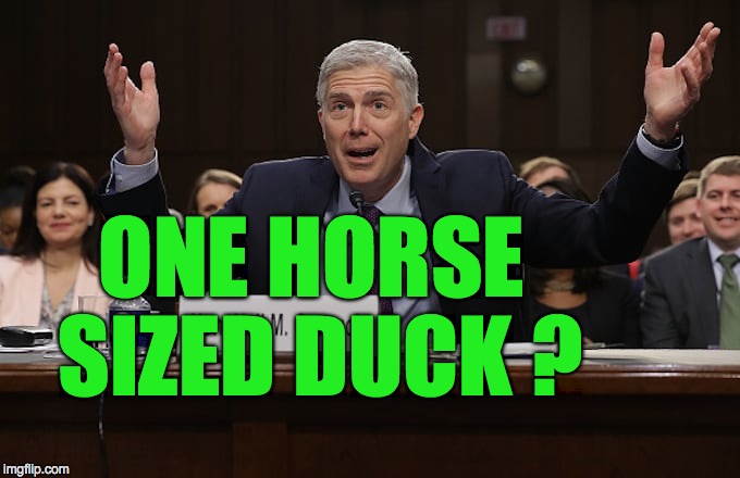 ONE HORSE SIZED DUCK ? | image tagged in donald trump | made w/ Imgflip meme maker