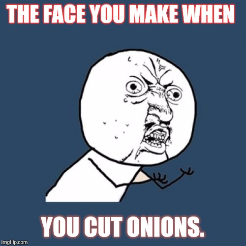 Y U No Meme | THE FACE YOU MAKE WHEN; YOU CUT ONIONS. | image tagged in memes,y u no | made w/ Imgflip meme maker