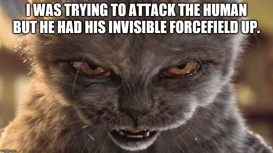 I WAS TRYING TO ATTACK THE HUMAN BUT HE HAD HIS INVISIBLE FORCEFIELD UP. | made w/ Imgflip meme maker