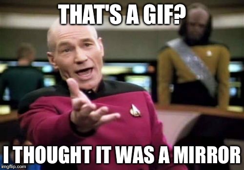 Picard Wtf Meme | THAT'S A GIF? I THOUGHT IT WAS A MIRROR | image tagged in memes,picard wtf | made w/ Imgflip meme maker