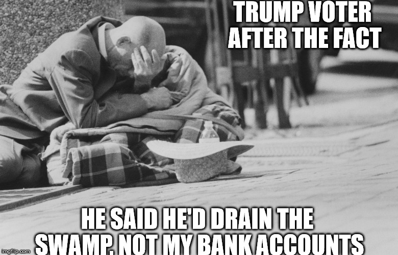 TRUMP VOTER AFTER THE FACT; HE SAID HE'D DRAIN THE SWAMP, NOT MY BANK ACCOUNTS | image tagged in trumpvoterafterthefact | made w/ Imgflip meme maker