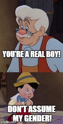 Real Boy | YOU'RE A REAL BOY! DON'T ASSUME MY GENDER! | image tagged in pinocchio,boy,transgender,gender fluid | made w/ Imgflip meme maker