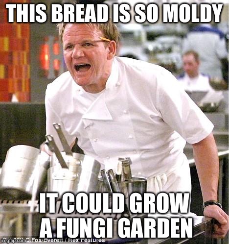 Chef Gordon Ramsay | THIS BREAD IS SO MOLDY; IT COULD GROW A FUNGI GARDEN | image tagged in memes,chef gordon ramsay | made w/ Imgflip meme maker