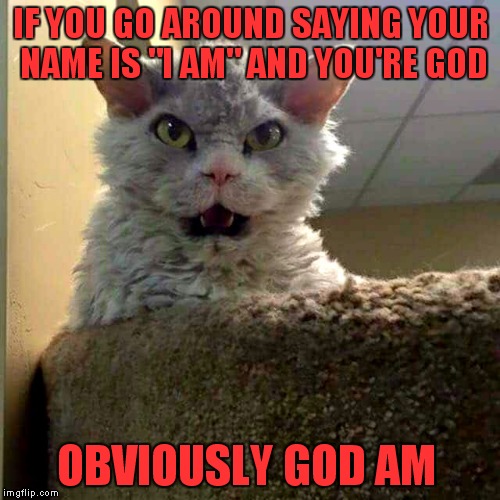 IF YOU GO AROUND SAYING YOUR NAME IS "I AM" AND YOU'RE GOD OBVIOUSLY GOD AM | image tagged in bad joke pompous albert | made w/ Imgflip meme maker