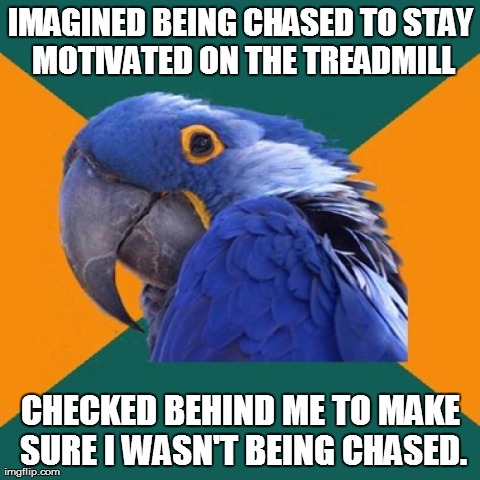 Paranoid Parrot | image tagged in memes,paranoid parrot,AdviceAnimals | made w/ Imgflip meme maker