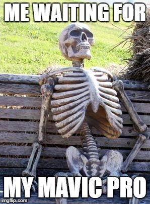 Waiting Skeleton Meme | ME WAITING FOR; MY MAVIC PRO | image tagged in memes,waiting skeleton | made w/ Imgflip meme maker