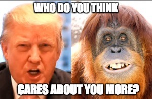 Donald trump is an orangutan | WHO DO YOU THINK; CARES ABOUT YOU MORE? | image tagged in donald trump is an orangutan | made w/ Imgflip meme maker