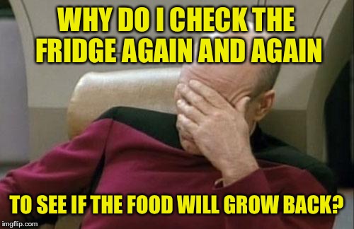 Veggie Reggie, pee on the Negi. | WHY DO I CHECK THE FRIDGE AGAIN AND AGAIN; TO SEE IF THE FOOD WILL GROW BACK? | image tagged in memes,captain picard facepalm,food,dank memes,funny | made w/ Imgflip meme maker
