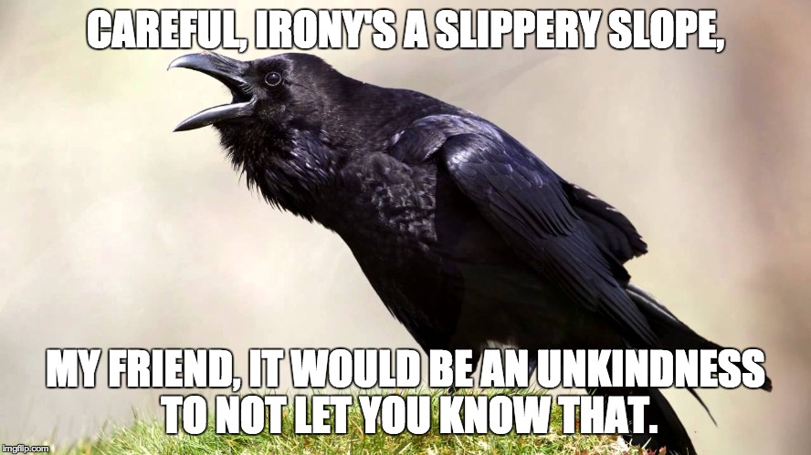 Rave014 | CAREFUL, IRONY'S A SLIPPERY SLOPE, MY FRIEND, IT WOULD BE AN UNKINDNESS TO NOT LET YOU KNOW THAT. | image tagged in rave014 | made w/ Imgflip meme maker