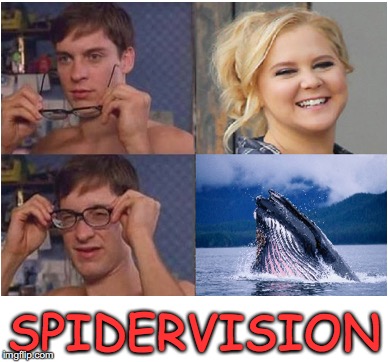Prescription Lenses | SPIDERVISION | image tagged in spiderman,amy shumer | made w/ Imgflip meme maker
