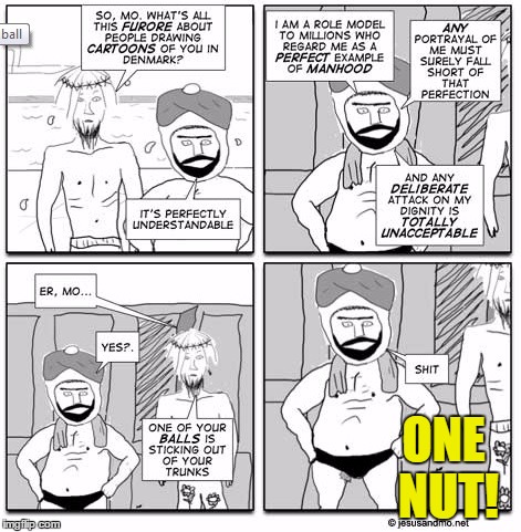 ONE NUT! | image tagged in ball | made w/ Imgflip meme maker