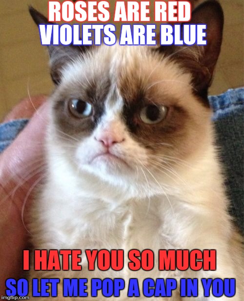 Pure Poetry - Grumpy Cat Style! | ROSES ARE RED; VIOLETS ARE BLUE; I HATE YOU SO MUCH; SO LET ME POP A CAP IN YOU | image tagged in memes,grumpy cat,poetry,roses are red,roses are red violets are are blue | made w/ Imgflip meme maker
