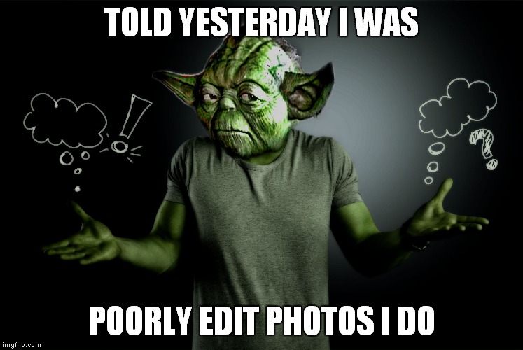 yoda shrug | TOLD YESTERDAY I WAS POORLY EDIT PHOTOS I DO | image tagged in yoda shrug | made w/ Imgflip meme maker