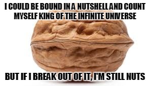  I COULD BE BOUND IN A NUTSHELL AND COUNT MYSELF KING OF THE INFINITE UNIVERSE; BUT IF I BREAK OUT OF IT, I'M STILL NUTS | image tagged in walnut | made w/ Imgflip meme maker