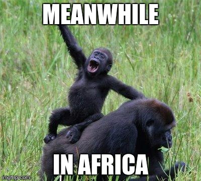 Gorilla waving | MEANWHILE; IN AFRICA | image tagged in gorilla waving | made w/ Imgflip meme maker