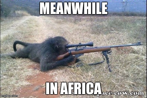 Gorilla Warfare | MEANWHILE; IN AFRICA | image tagged in gorilla warfare | made w/ Imgflip meme maker