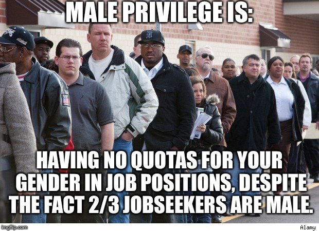 Unemployment line | MALE PRIVILEGE IS:; HAVING NO QUOTAS FOR YOUR GENDER IN JOB POSITIONS, DESPITE THE FACT 2/3 JOBSEEKERS ARE MALE. | image tagged in unemployment line | made w/ Imgflip meme maker