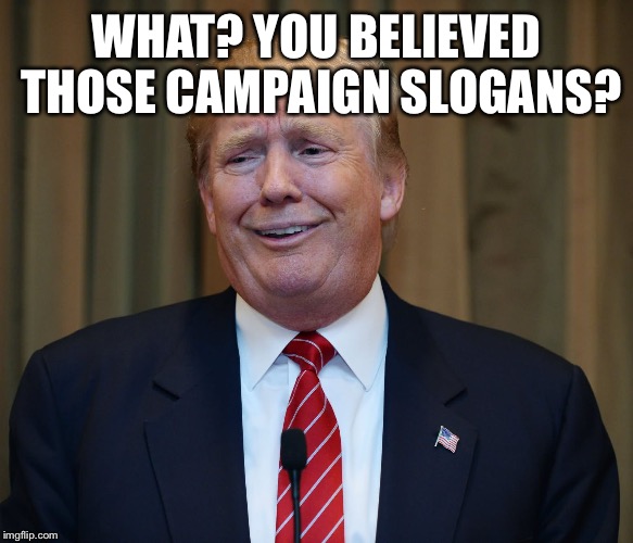 WHAT? YOU BELIEVED THOSE CAMPAIGN SLOGANS? | made w/ Imgflip meme maker