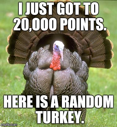 Turkey | I JUST GOT TO 20,OOO POINTS. HERE IS A RANDOM TURKEY. | image tagged in memes,turkey | made w/ Imgflip meme maker