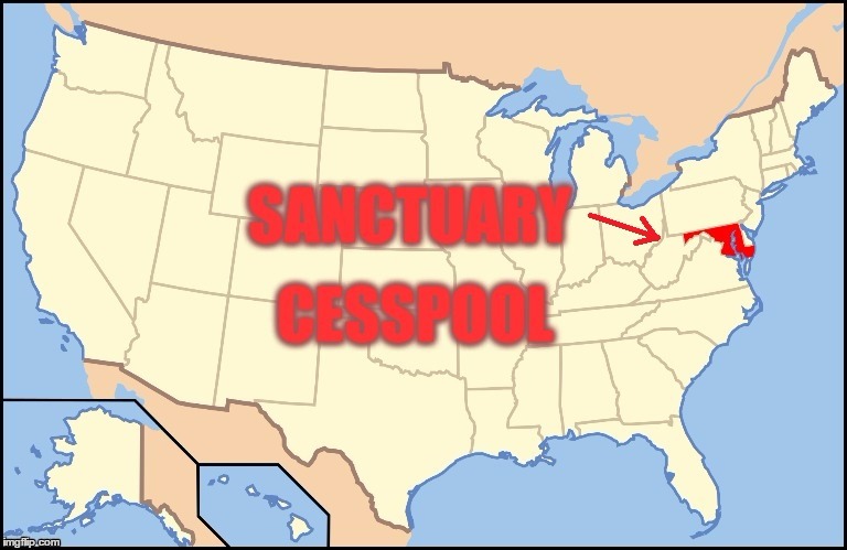 SANCTUARY CESSPOOL | image tagged in politics,political,stupid liberals,liberals,political meme | made w/ Imgflip meme maker