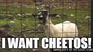 I WANT CHEETOS! | image tagged in cheetos | made w/ Imgflip meme maker