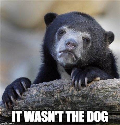 The dog knew I had betrayed him.  | IT WASN'T THE DOG | image tagged in memes,confession bear,dog,fart,bacon | made w/ Imgflip meme maker