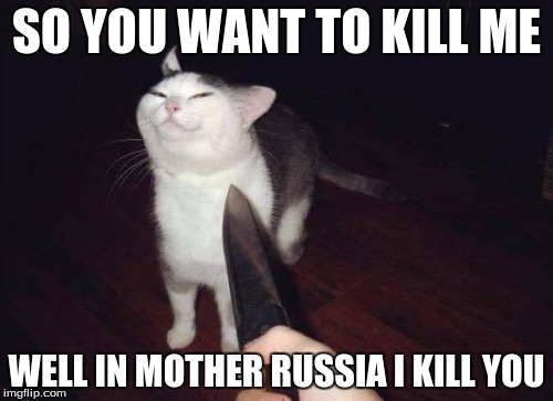 so you want to kill me? | SO YOU WANT TO KILL ME; WELL IN MOTHER RUSSIA I KILL YOU | image tagged in so you want to kill me | made w/ Imgflip meme maker