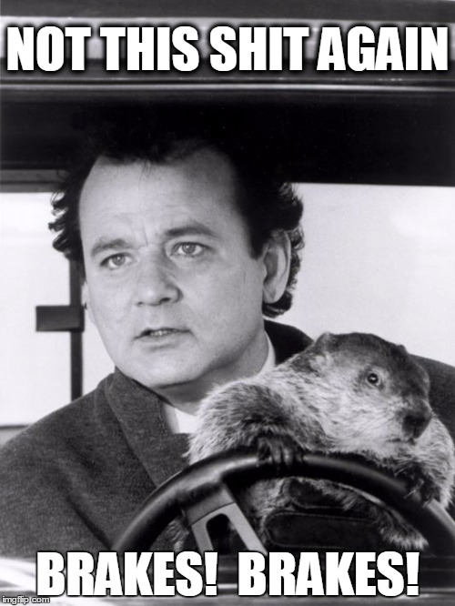Groundhog Day Again | NOT THIS SHIT AGAIN; BRAKES!  BRAKES! | image tagged in groundhog day,bill murray,groundhog,not again | made w/ Imgflip meme maker