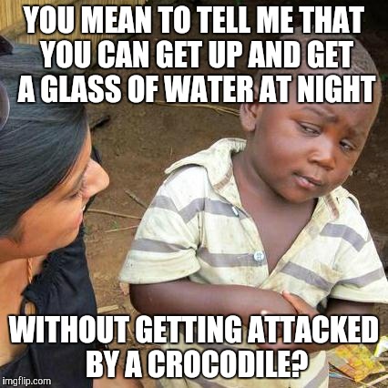 Third World Skeptical Kid Meme | YOU MEAN TO TELL ME THAT YOU CAN GET UP AND GET A GLASS OF WATER AT NIGHT; WITHOUT GETTING ATTACKED BY A CROCODILE? | image tagged in memes,third world skeptical kid | made w/ Imgflip meme maker