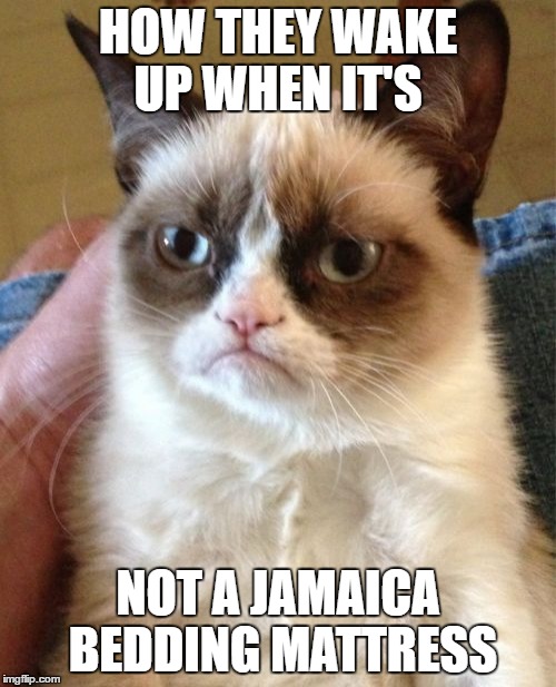 Grumpy Cat Meme | HOW THEY WAKE UP WHEN IT'S; NOT A JAMAICA BEDDING MATTRESS | image tagged in memes,grumpy cat | made w/ Imgflip meme maker